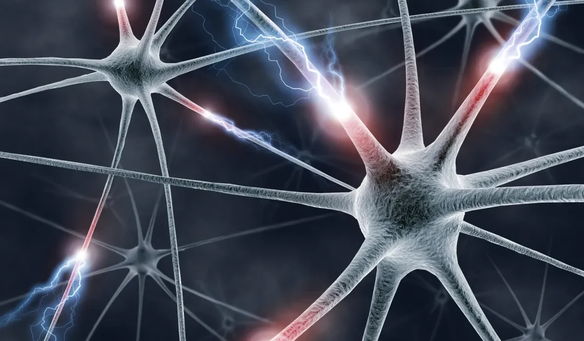 Une Nouvelle Stimulation Cérébrale Électrique Pourrait 'Réveiller' Les Patients Comateux