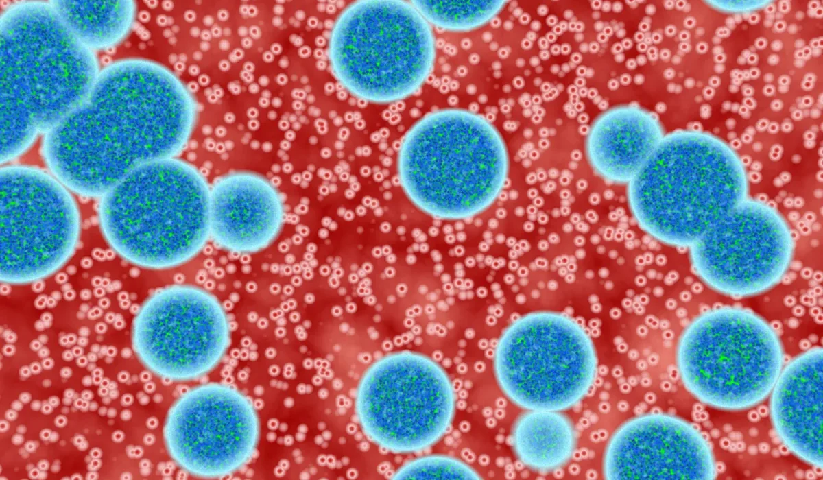 Une Nouvelle Thérapie Génique Pourrait Mettre Fin aux Maladies Cérébrales Mortelles
