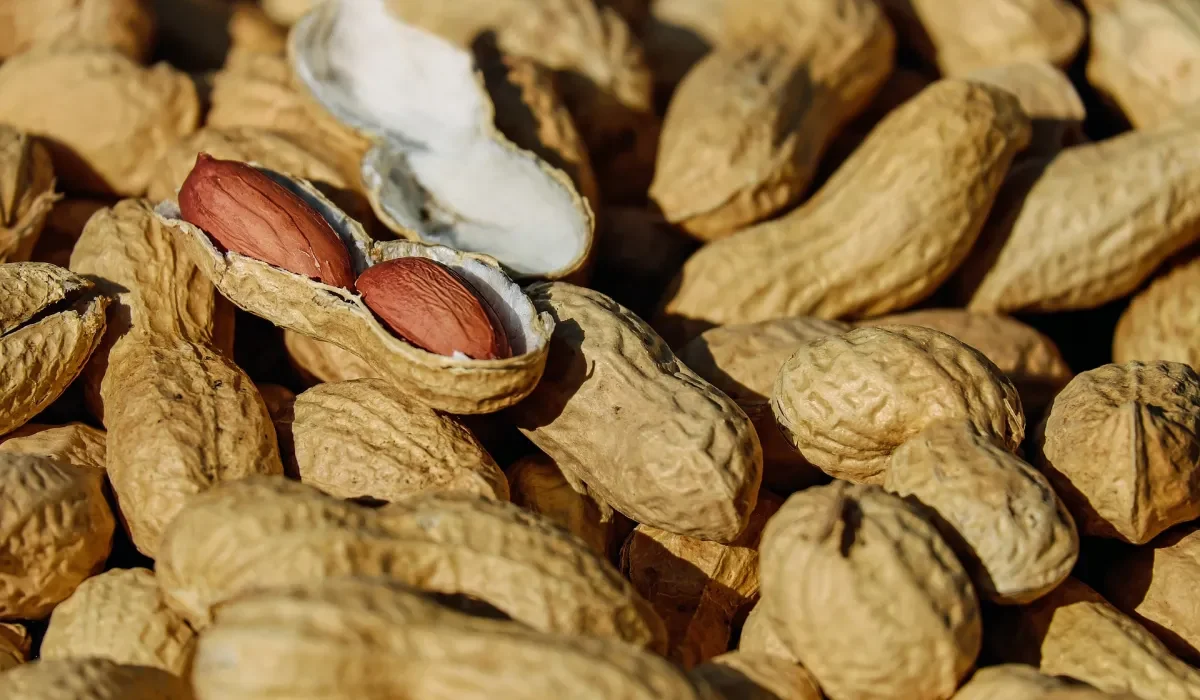 Une Percée Australienne : Une Possible Cure contre l'Allergie aux Amandes de Mer!