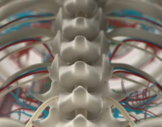 Une Thérapie Cellulaire Innovante Restaure le Mouvement chez des Patients Paralysés.