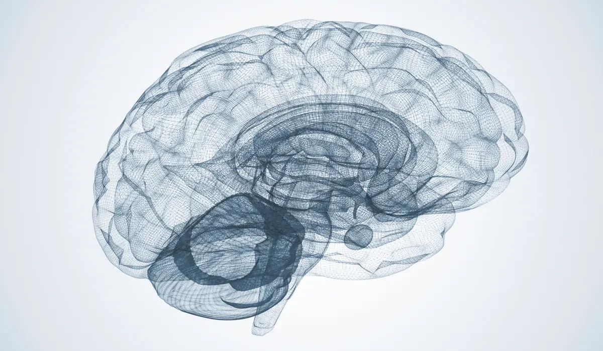 Vingt-deux gènes liés à l'intelligence identifiés par les scientifiques
