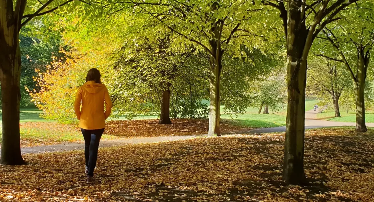 À 100 mètres du parc : une étude révèle une augmentation de chaleur, de pollution et de bruit