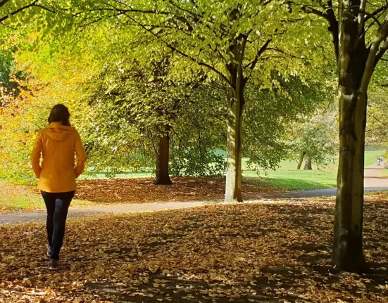 À 100 mètres du parc : une étude révèle une augmentation de chaleur, de pollution et de bruit