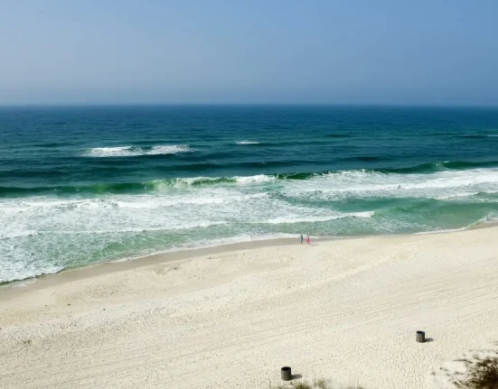 Alerte sur trois plages de Floride après des niveaux élevés de bactéries fécales : Évitez de vous baigner