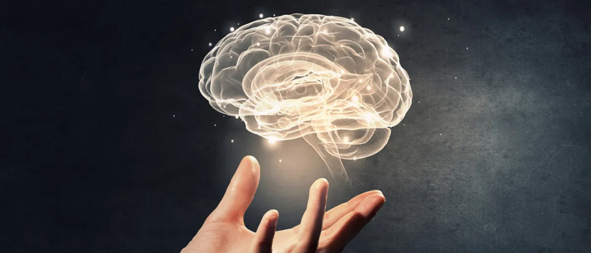 Cellules Souches Neuronales : Une Promesse pour Remplacer les Cellules Cérébrales et Restaurer la Mémoire
