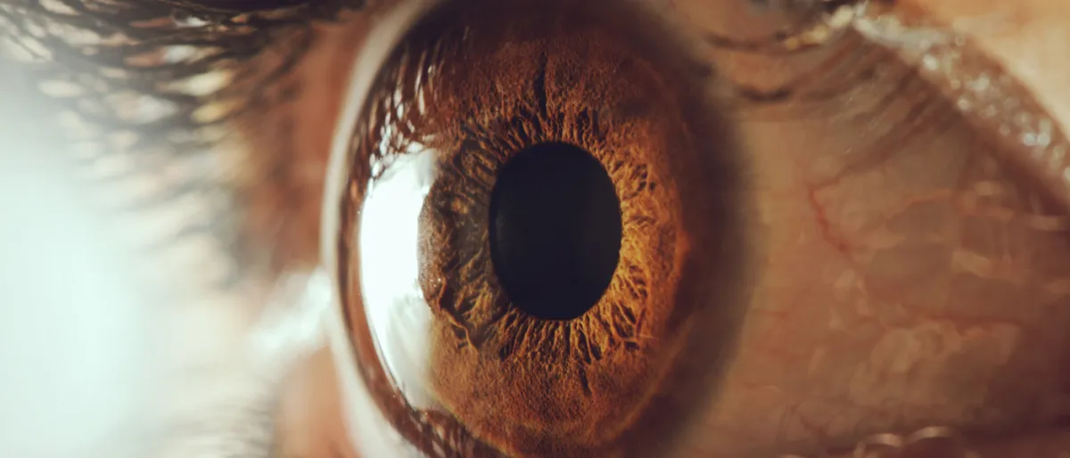Cet Œil Bionique Révolutionnaire Transmet des Images Directement à Votre Cerveau