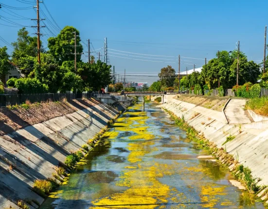 Contamination des eaux de Californie : 50 % affectées par les PFAS issus des pesticides, alerte un rapport