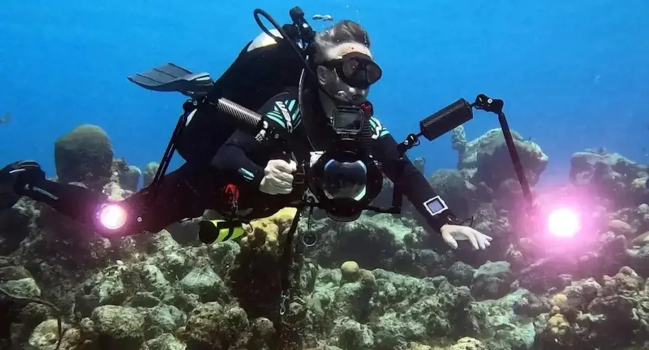Découverte des épaves liées aux véritables pirates des Caraïbes aux Bahamas.