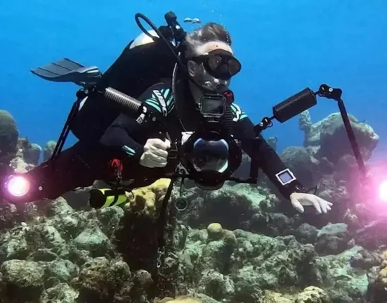 Découverte des épaves liées aux véritables pirates des Caraïbes aux Bahamas.