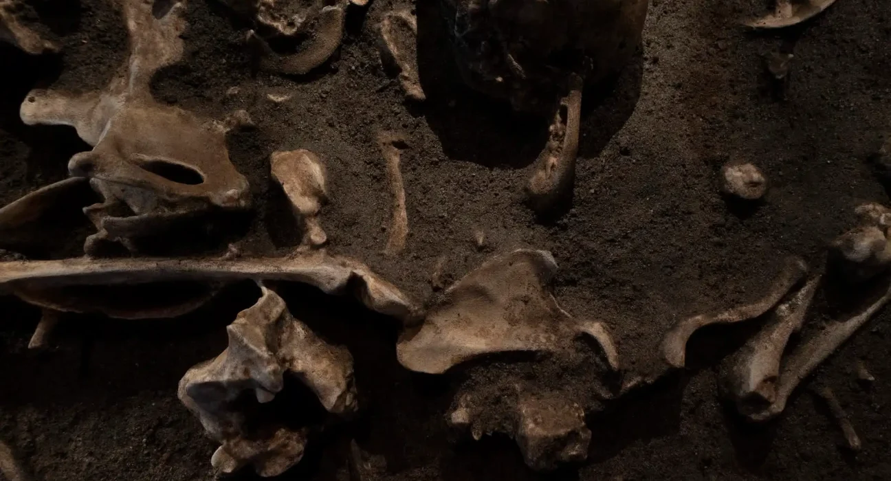 Découverte d'ossements carbonisés dans une grotte sud-africaine : des indices sur l'utilisation du feu par les premiers humains il y a 1,8 million d'années.