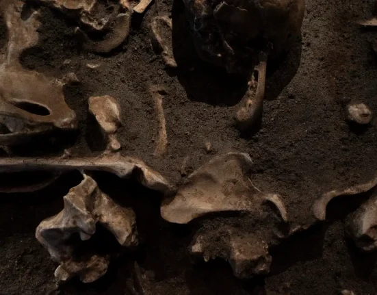 Découverte d'ossements carbonisés dans une grotte sud-africaine : des indices sur l'utilisation du feu par les premiers humains il y a 1,8 million d'années.