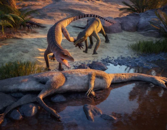 Découverte d'un Nouveau Cousin Crocodilien après 210 Millions d'Années de Silence Éternel
