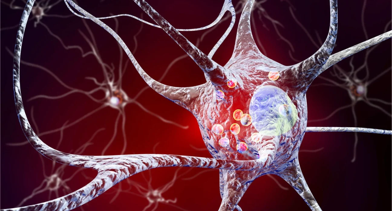 Découverte d'un Peptide Protecteur du Cerveau Révolutionnant le Traitement de Parkinson