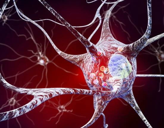 Découverte d'un Peptide Protecteur du Cerveau Révolutionnant le Traitement de Parkinson