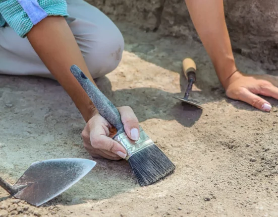 Découverte d'un dinosaure gigantesque à quatre ailes en Chine : une clé pour comprendre les étranges amas osseux.