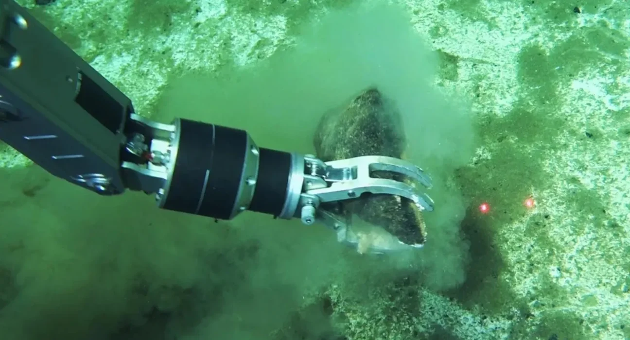 Découverte d'un vaste cimetière d'os de baleines au fond de l'Atlantique : révélations d'un monde marin oublié.