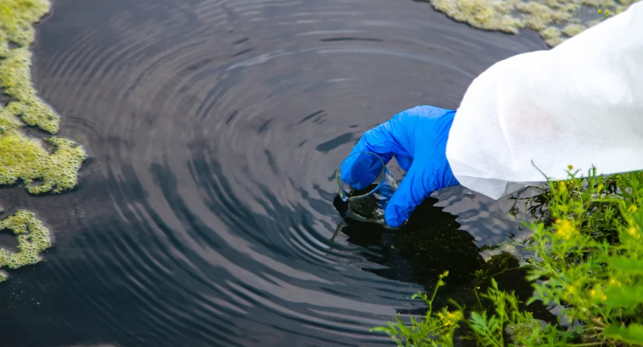 Découverte tardive : la Marine révèle des PFAS dans les poissons du Swan Pond après un an de silence