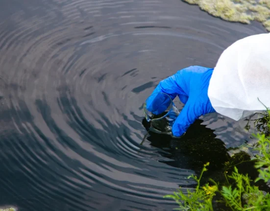 Découverte tardive : la Marine révèle des PFAS dans les poissons du Swan Pond après un an de silence