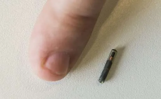 Découvrez les conséquences d’un implant de puce NFC dans votre main.