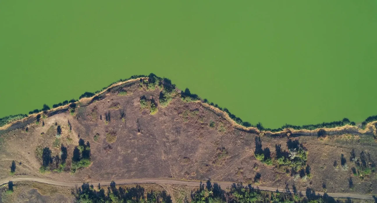 Des Algues Toxiques Envahissent les Eaux de l'Alaska : Les Conséquences du Réchauffement Climatique