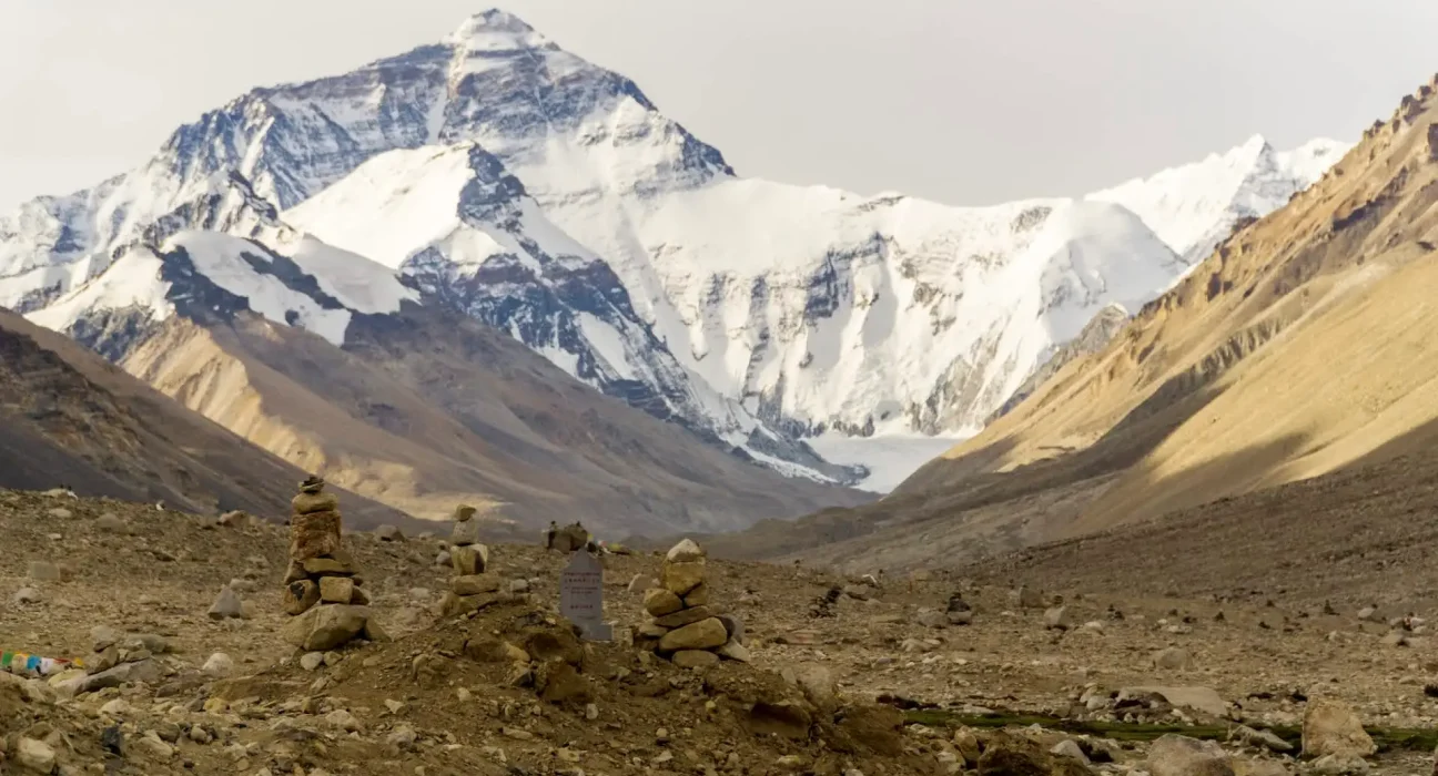 Des Cobras Royaux et un Cobra Lunette : L'Alerte des Scientifiques au Pied de l'Everest