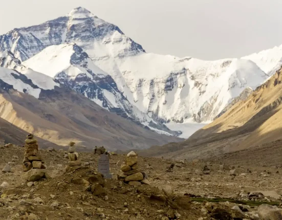 Des Cobras Royaux et un Cobra Lunette : L'Alerte des Scientifiques au Pied de l'Everest