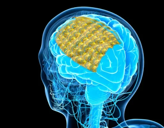Des Électroniques Réabsorbables pour le Cerveau : Une Innovation Révolutionnaire