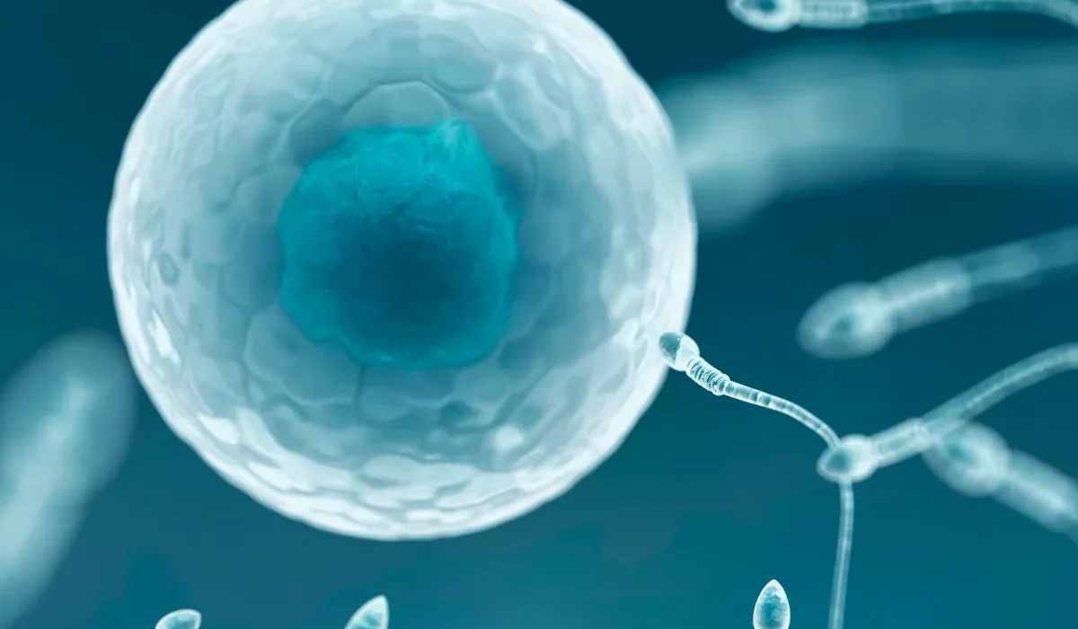 Des Femmes Plus Âgées Enceintes Grâce à un Traitement Révolutionnaire de la Ménopause