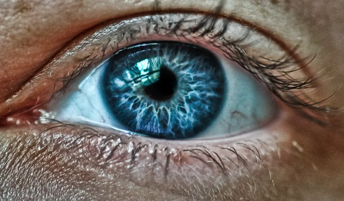 Des Lunettes Innovantes pour une Vision Surhumaine