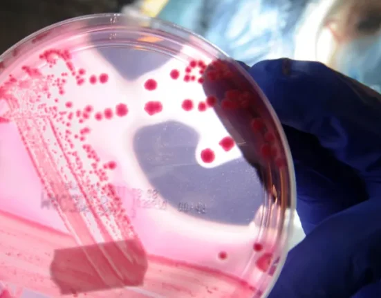 Des Scientifiques Exploitent la Puissance des Bactéries Intestinales pour Améliorer la Santé.