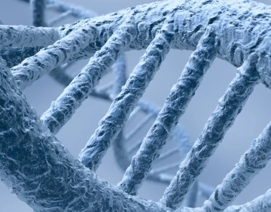 Des Scientifiques de Harvard Se Fendent d'une Réunion Secrète pour Élaborer un Génome Humain Synthétique.