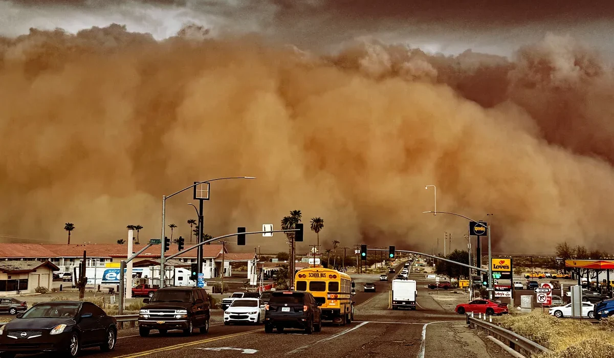 Des Tempêtes Fongiques Apocalyptiques S'abattent sur les États-Unis