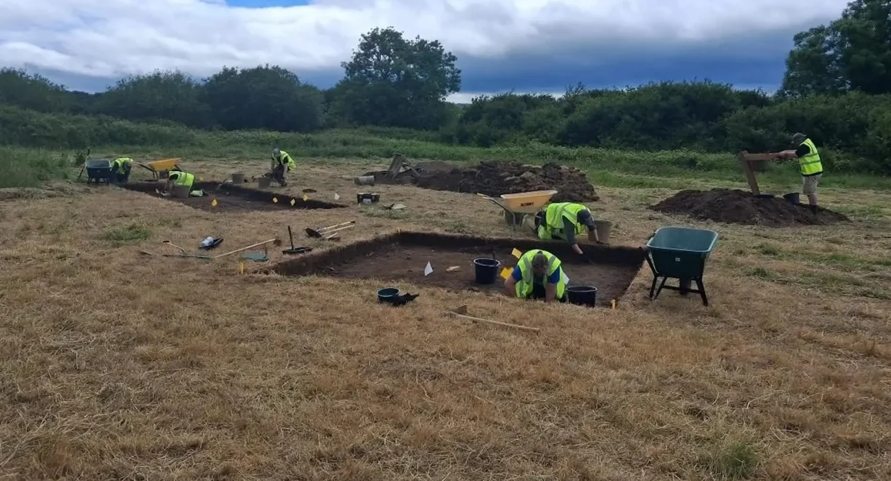 Des archéologues pourraient révéler le plus grand site de négoce viking d'Irlande.