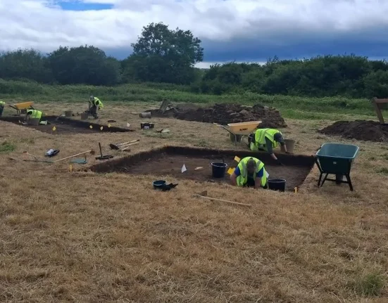 Des archéologues pourraient révéler le plus grand site de négoce viking d'Irlande.