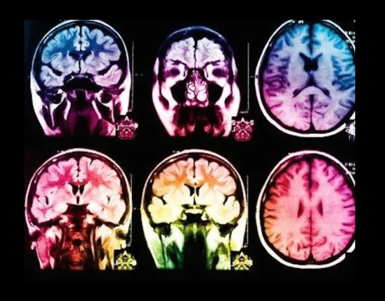 Des avancées biotechnologiques pourraient ramener à la vie des personnes en état de mort cérébrale.