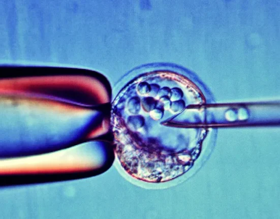 Des avancées scientifiques : Modification génétique des embryons humains pour lutter contre le VIH.