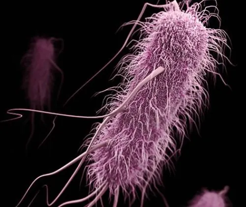 Des bactéries courantes en passe de devenir des superbugs résistants aux antibiotiques.