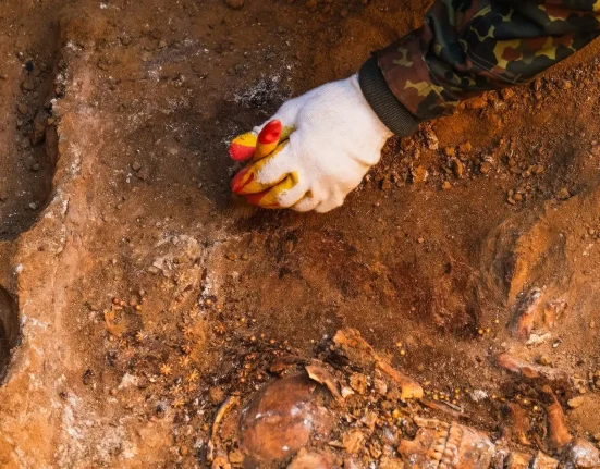 Des boucles d'oreilles plaquées or découvertes aux côtés d'un crâne millénaire témoignent des liens élitistes d'une femme sibérienne