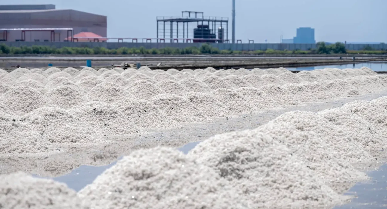 Des cellules sodium-ion rechargées en 15 minutes rivalisent avec les batteries Tesla.