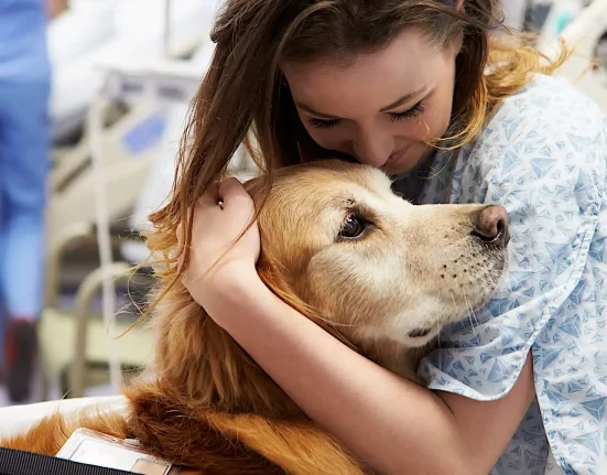 Des chiens d'hôpital spécialement formés accompagnent les jeunes patients face à la douleur, à la peur et à la guérison.