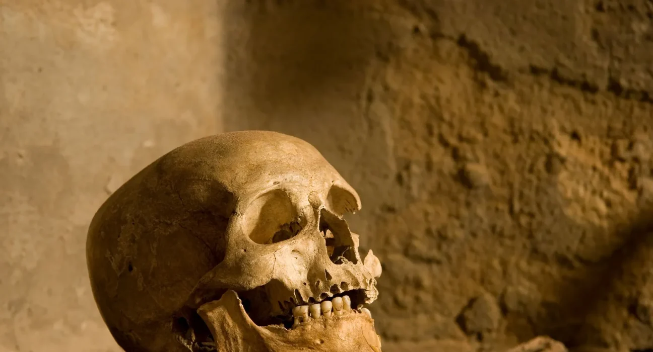 Des dents anciennes témoignent d'une épidémie dévastatrice chez les chasseurs-cueilleurs avant l'émergence des cités.