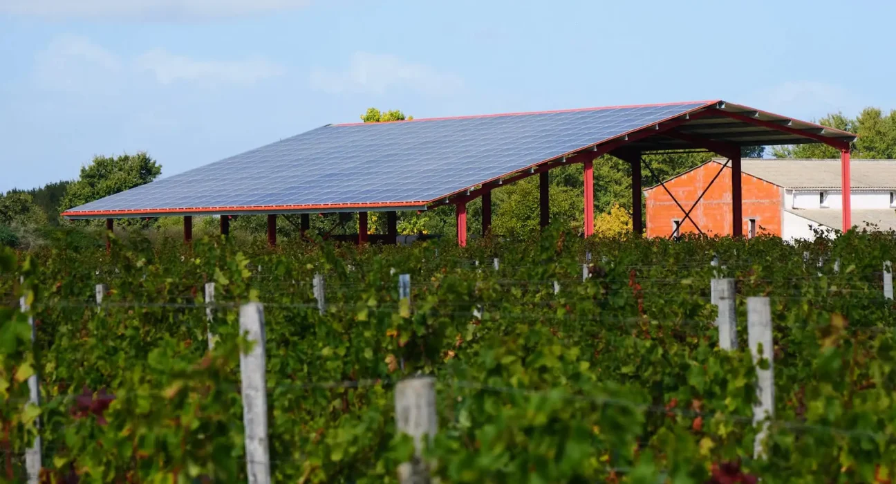 Des fermes solaires comme refuges pour la faune : le secret réside dans la végétation sous-jacente.
