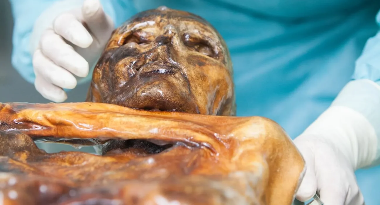 Des scientifiques cuisinent du pain au levain avec de la levure vieille de 5 000 ans extraite de l'intestin d'une momie.