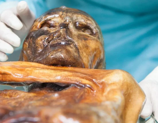 Des scientifiques cuisinent du pain au levain avec de la levure vieille de 5 000 ans extraite de l'intestin d'une momie.