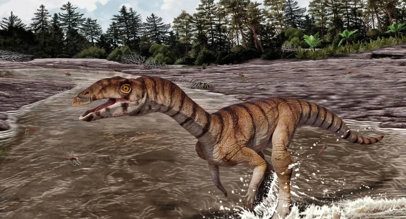 Des scientifiques découvrent un cousin étrange du crocodile qui se déplaçait comme un dinosaure.