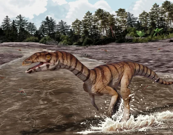 Des scientifiques découvrent un cousin étrange du crocodile qui se déplaçait comme un dinosaure.