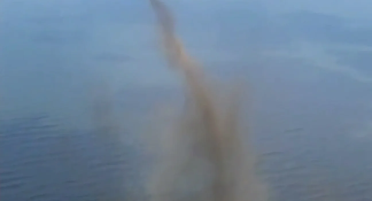 Des trillions de mouches lacustres forment des colonnes spectaculaires ressemblant à de la fumée dans une vidéo virale.