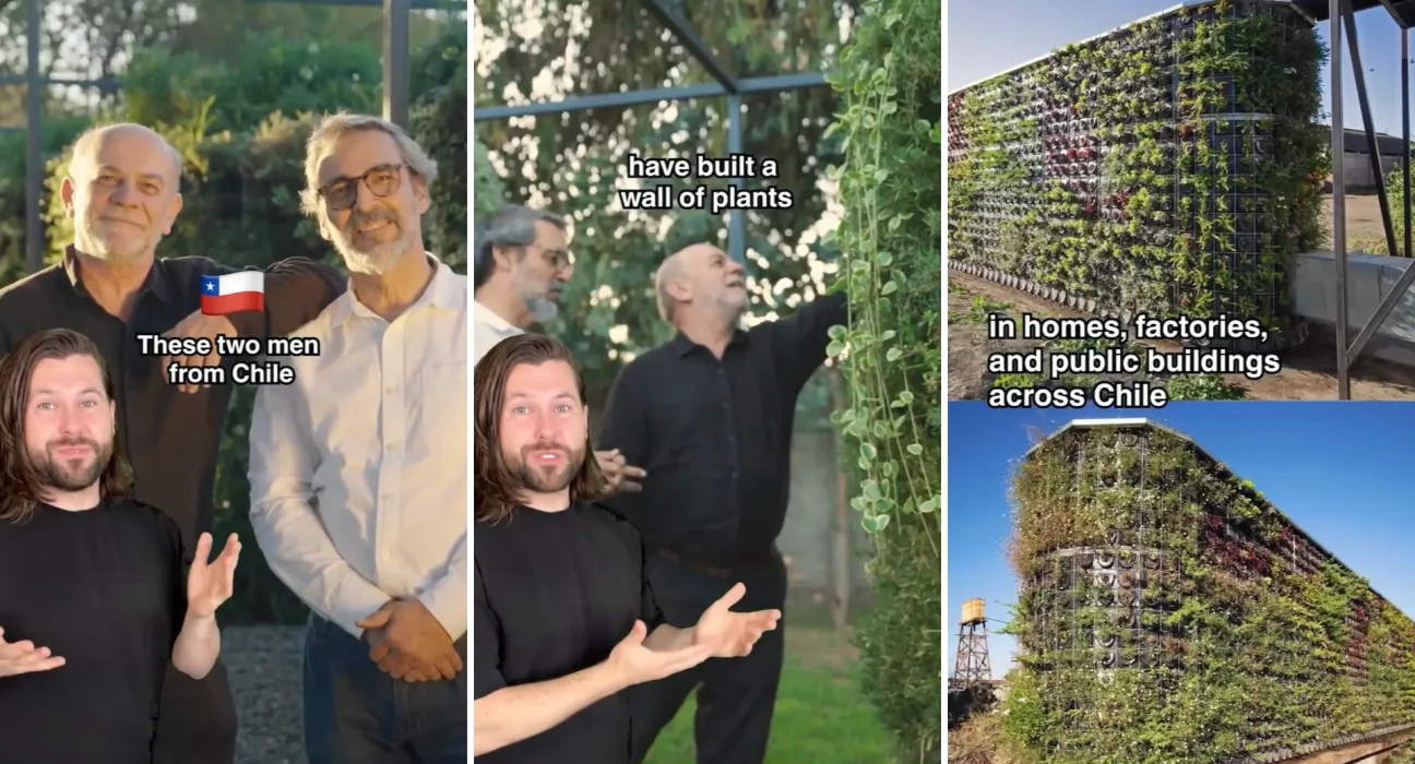 Deux hommes conçoivent un mur végétal vivant qui filtre plus de 90 % des polluants du bois tout en cultivant des légumes.