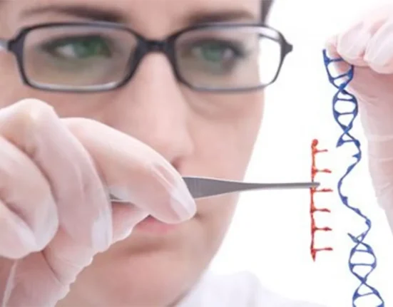 Dr. Paul Knoepfler Dévoile les Enjeux de CRISPR et l'Émergence des Bébés Génériques
