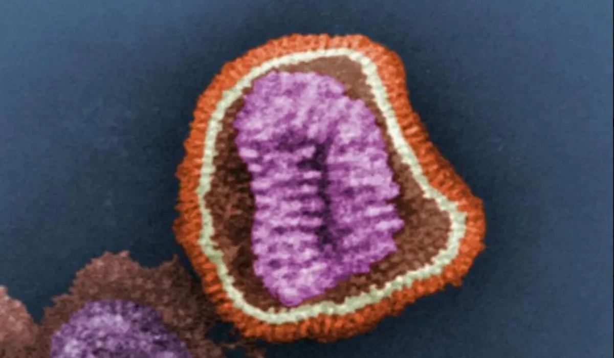 IBM Développe une Molécule Prometteuse pour Éliminer les Virus.